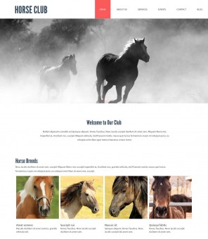 Horse Club - Horse Club Multipurpose WordPress Theme