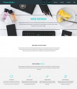 Picassa Design - Multipurpose Web Design WordPress Theme