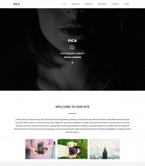 Pick - Photography WordPress Theme for Individual/Company