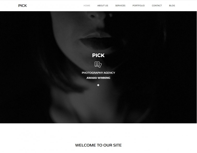 Pick - Photography WordPress Theme for Individual/Company