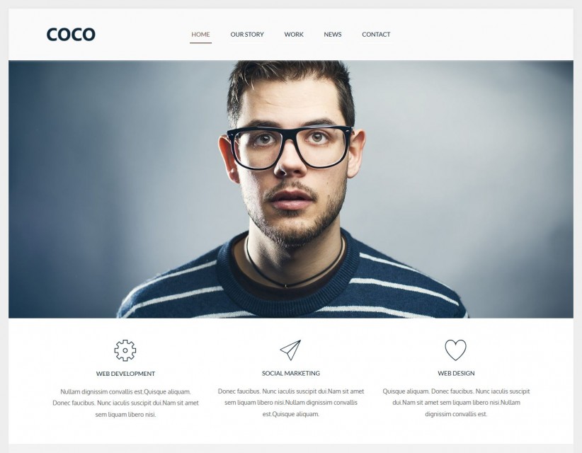 COCO - Flat Designed Wordpress Web Agency Theme