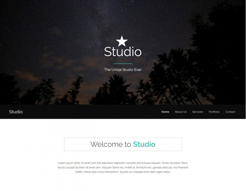Studio - Creative WordPress Theme of Photography Studio