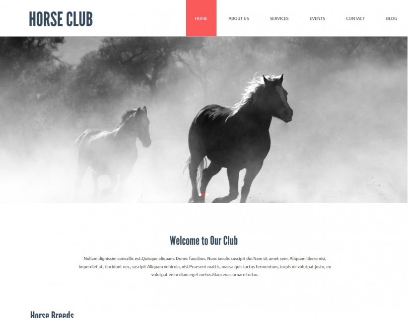 Horse Club - Joomla Template for Horse Riding Club