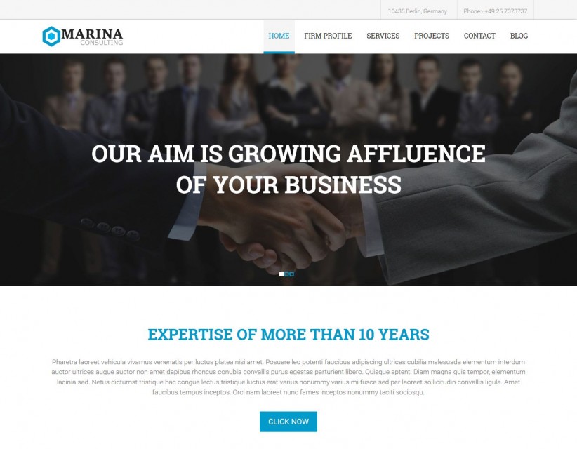 Marina - Joomla Template for Business Marketing Consultant