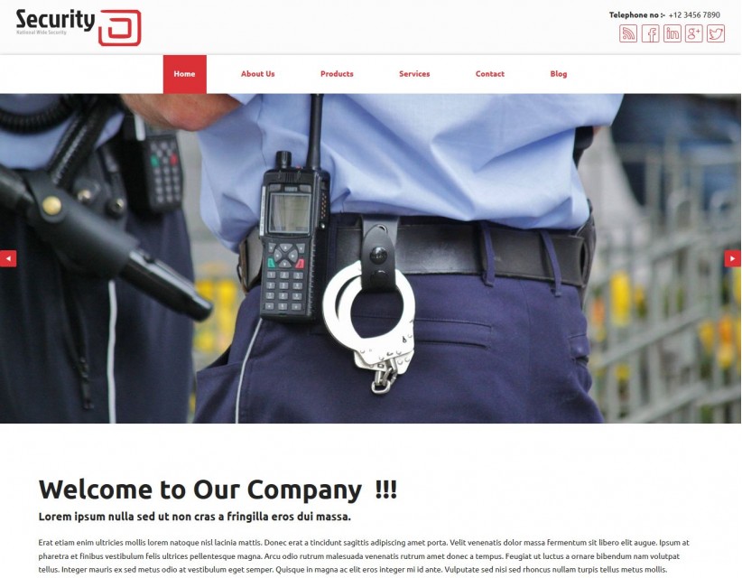 Professional Security- Responsive Drupal Theme for Security Agency