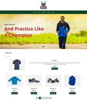 Bucks Sport - Sports Items WooCommerce Responsive Theme