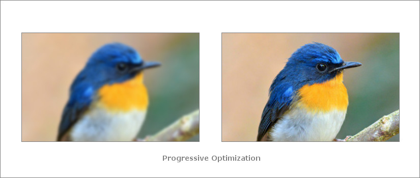 Gimp Save for Web Progressive Optimization screenshot
