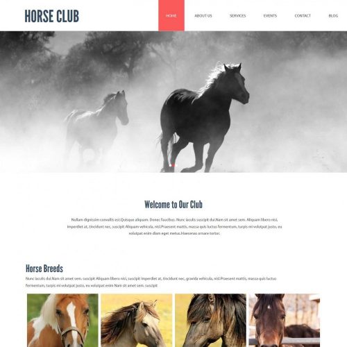 horse club joomla template for horse riding club