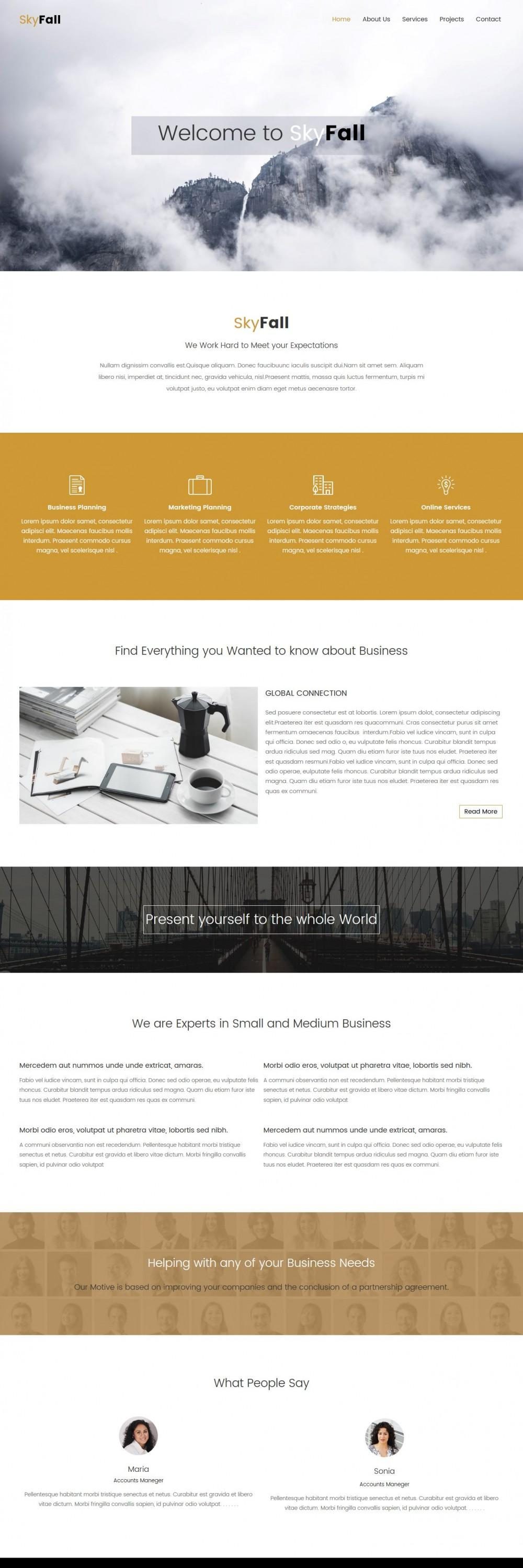 skyfall joomla template for business strategy agency