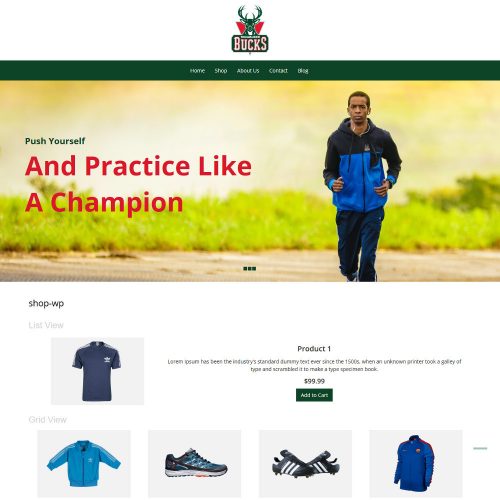 Bucks Sport Sports Items WooCommerce Theme