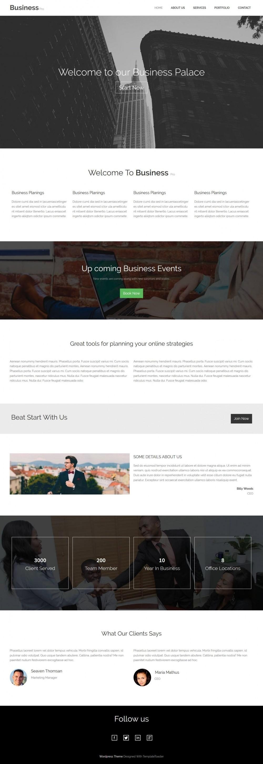 Business Consultant - Marketing And Business Consultant WordPress Theme