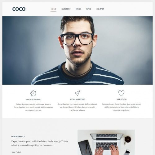 COCO - Flat Designed Wordpress Web Agency Theme