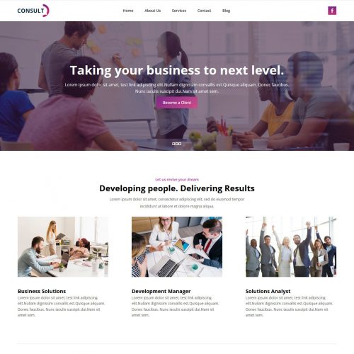 Consult Consulting Company Free WordPress Theme