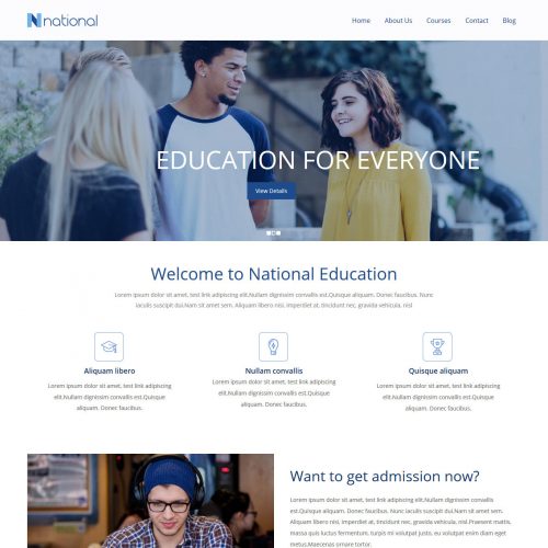 National Institute Training Institute Free WordPress Theme