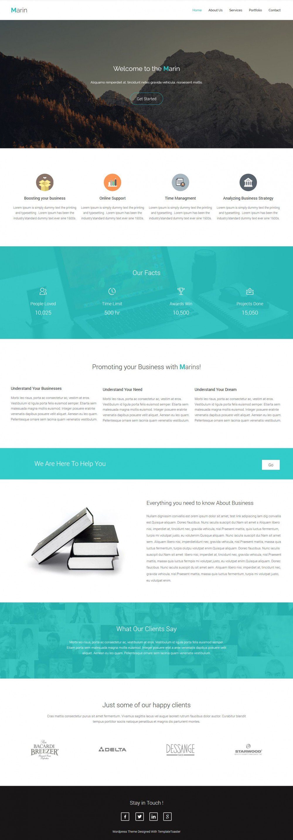 Marin - Responsive Business Promoting WordPress Theme