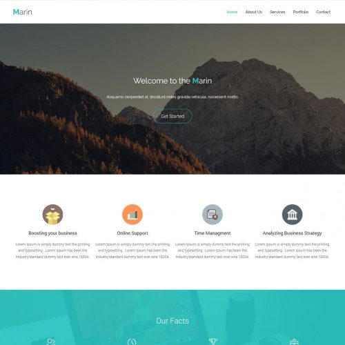 Marin - Responsive Business Promoting WordPress Theme