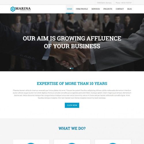 Marina - WordPress Theme for Business Marketing Consultant