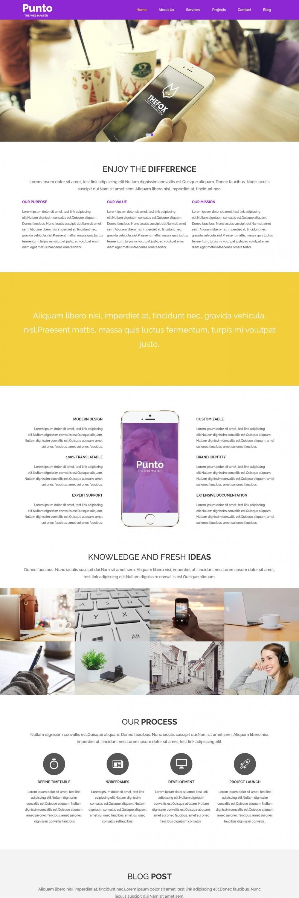 Punto - Web/App Development WordPress Theme