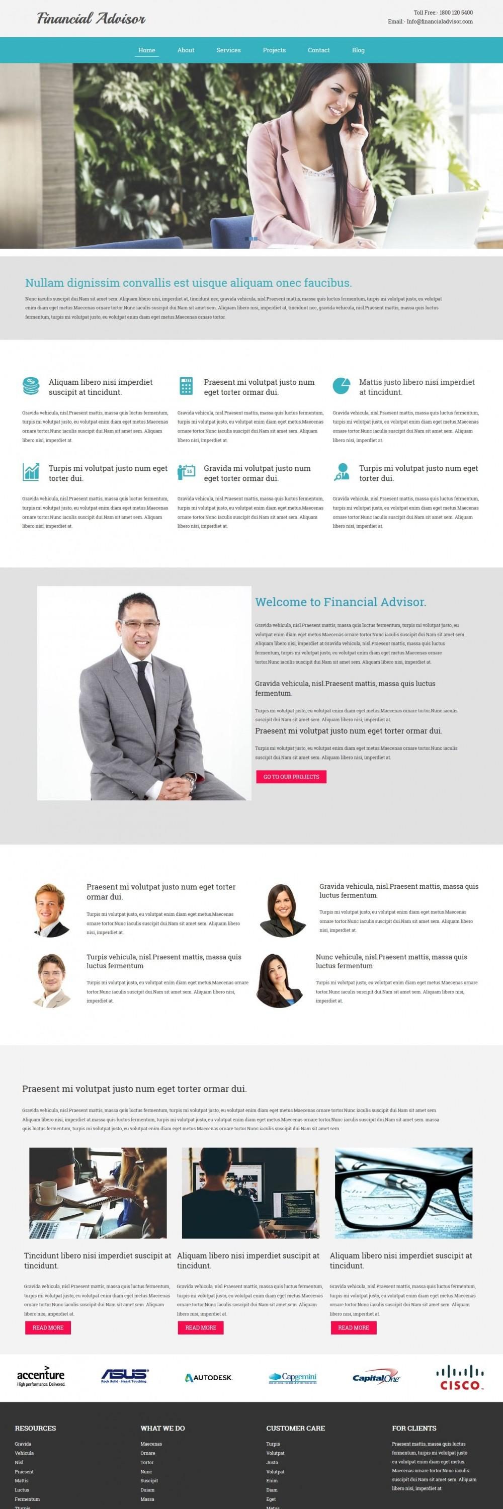 finance advisor blogger template