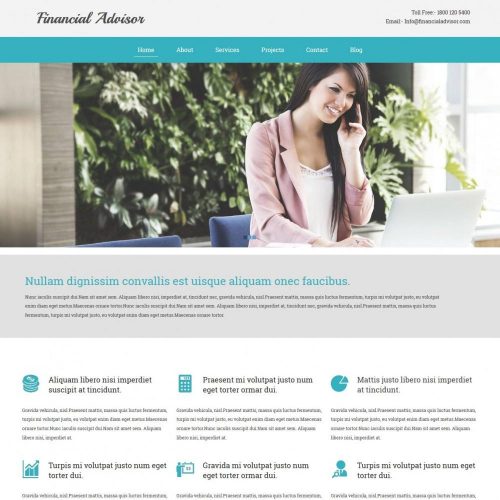 finance advisor blogger template