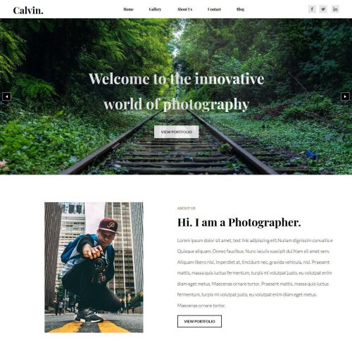 Calvin Photography Blogger Template