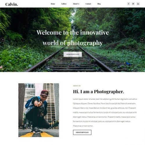 Calvin Photography Drupal Theme
