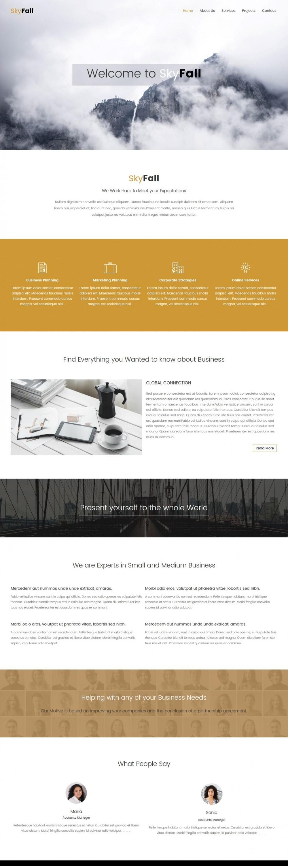 Skyfall Business Strategy Agency HTML Template