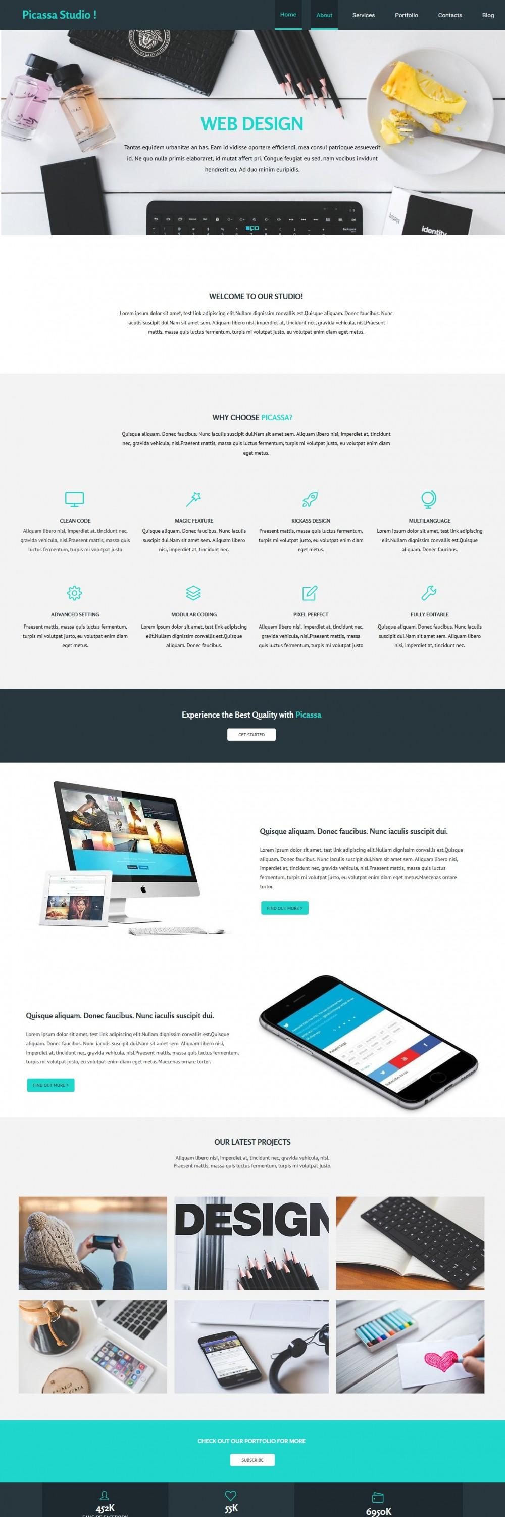 picassa web design agency html template