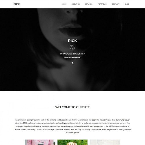 Pick Photography Blogger Template