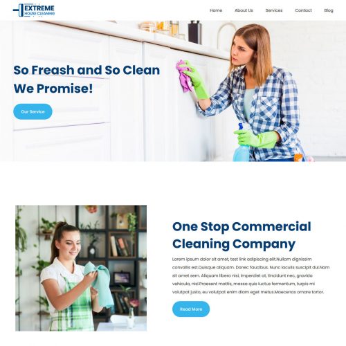 extreme house cleaning company drupal theme