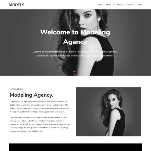 Models - Fashion & Modeling Agency WordPress Theme