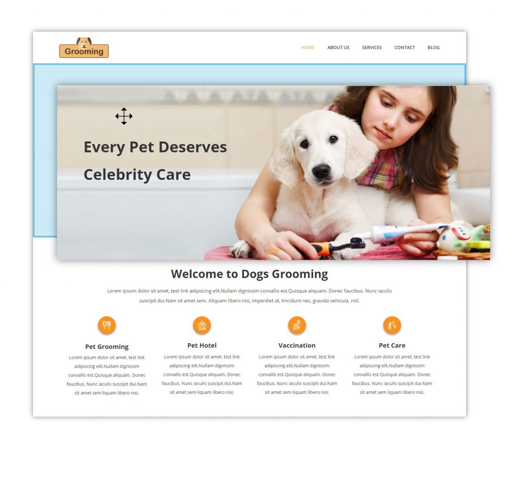 WordPress Theme Builder - TemplateToaster