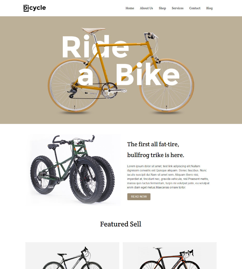 Bicycle - Online Cycle Store WordPress Theme