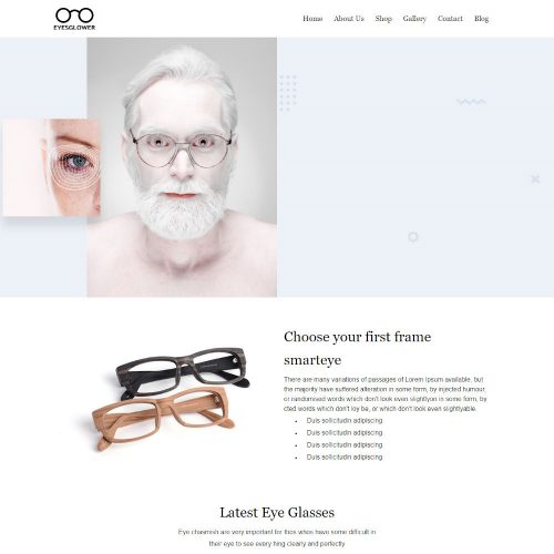 Eyes Glower -Optometrist & Eye Care WordPress Theme