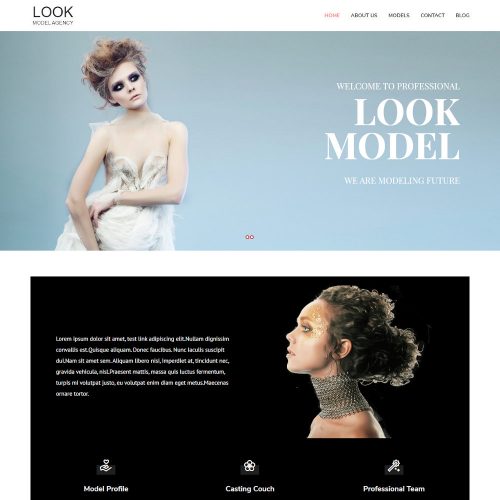 Look - Fashion Model Agency Drupal Theme