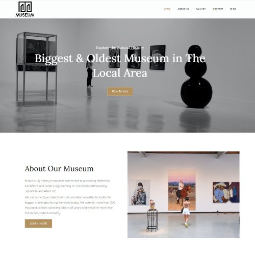 Meseumartz - Museum Art Gallery Exhibition WordPress Theme