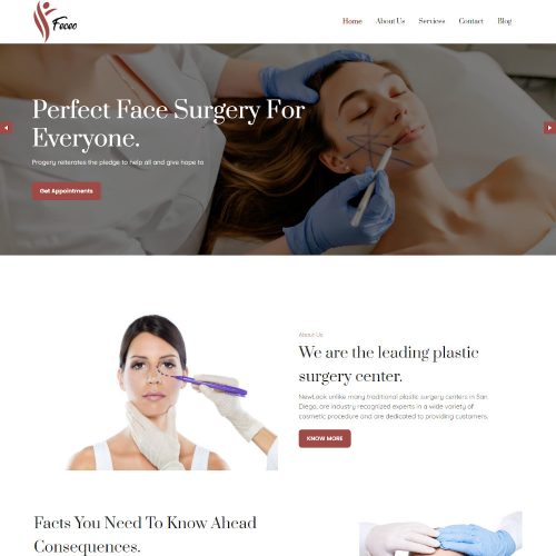 Feceo- Plastic Surgery WordPress Theme