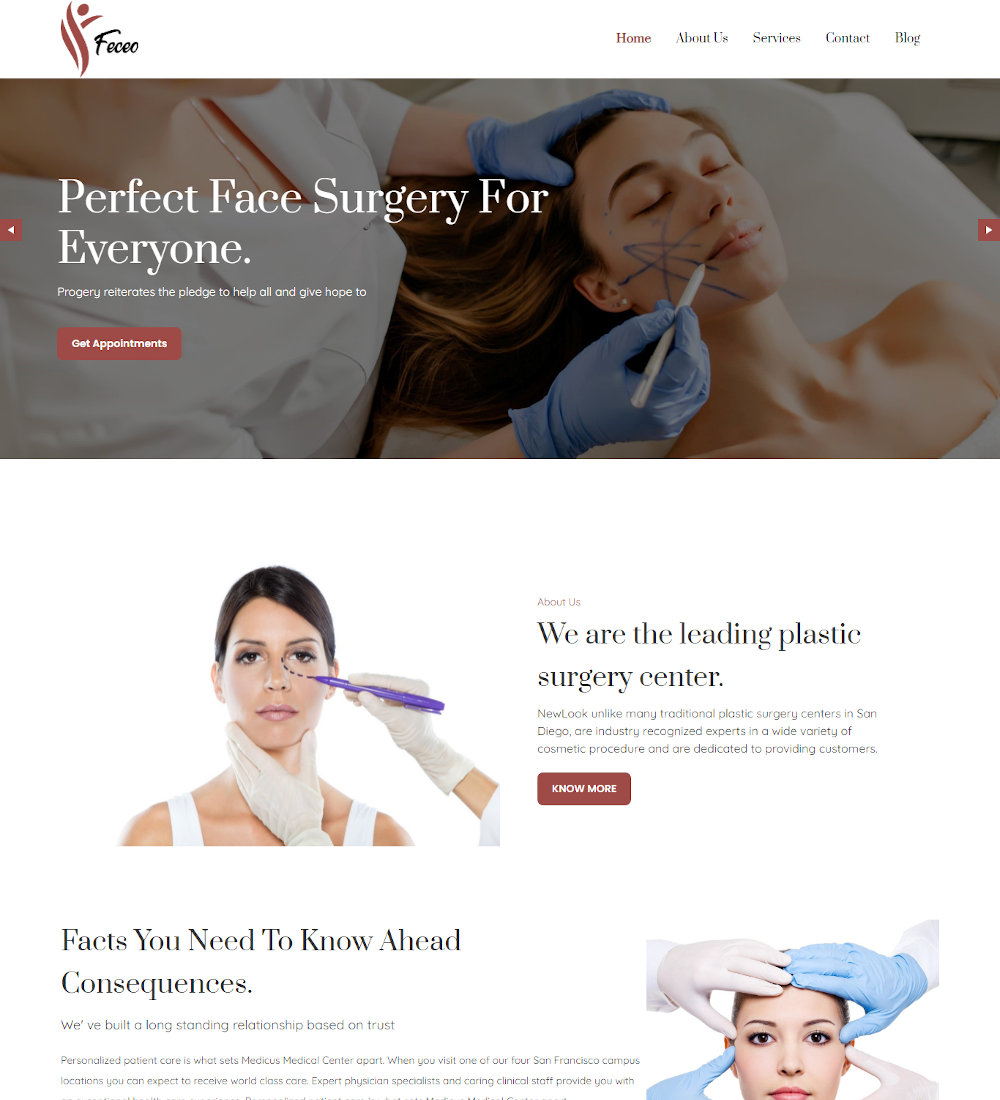 Feceo- Plastic Surgery WordPress Theme