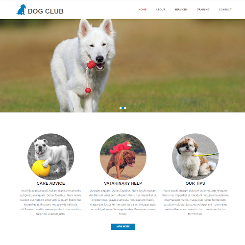 Pets and Animals Drupal Themes