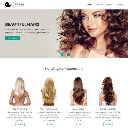 Tresses Hair Extension and Beauty Salon WordPress Theme