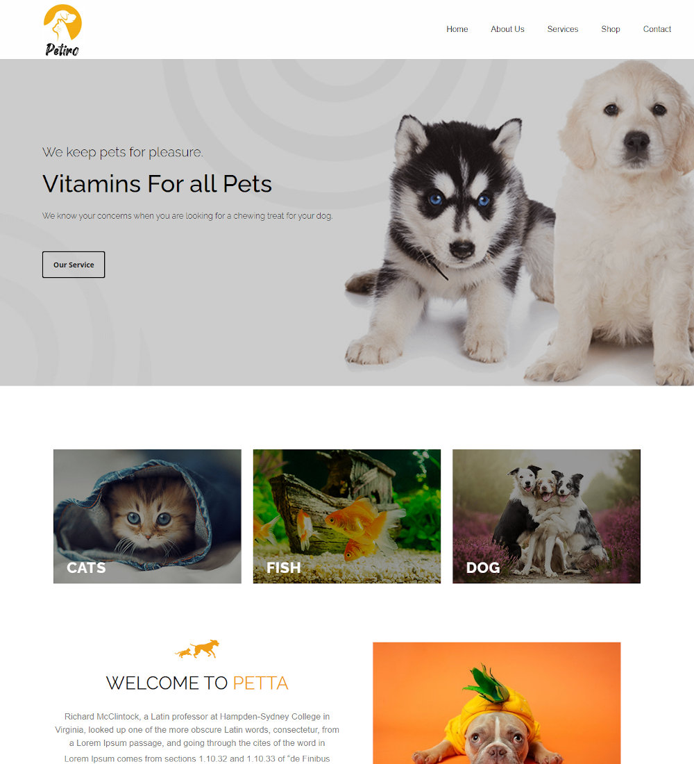 Petiro-Pet-Care-Clinic-Template