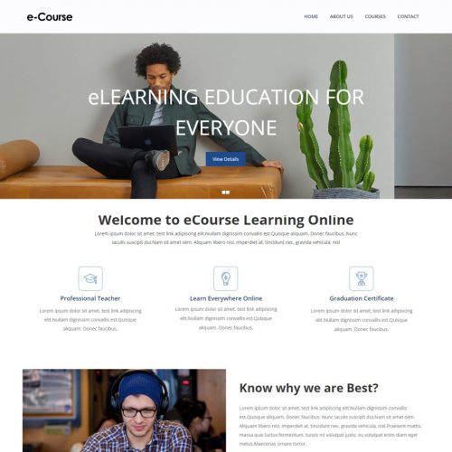 E-course-Online-learning-Education-Template