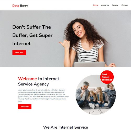 Data-Berry-Internet-Service-Provider-Template