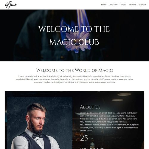 Sacco-Magician-Artist-Performer-Template