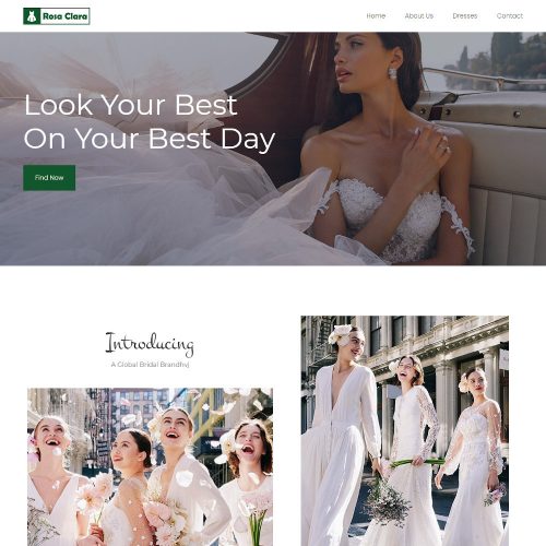 Bridal Gown Wedding Dress Designer Template