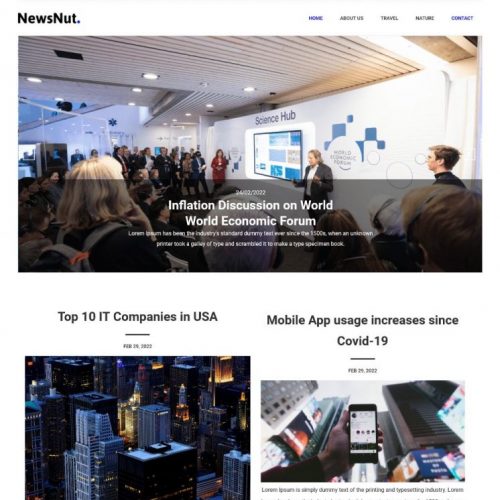 Newsnut - Newspaper and News Portal Template