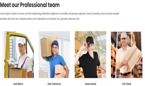 Professional delivery team showcase section featuring logistics staff, warehouse workers, and courier service employees in a responsive website layout