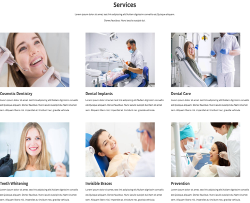 Dental Clinic Services Section template layout in TemplateToaster