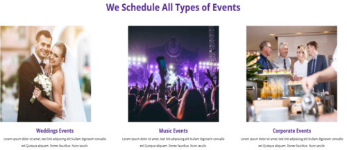 Services section for events management firm website designed with TemplateToaster